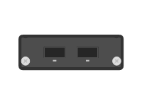 10Gb E XFP Module