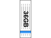 Disc 36 gig