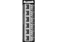 QLogic 6 Port FC