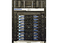 SX6518 Spine