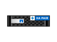 FAS8020 HA Pair All Flash