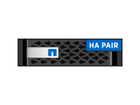 FAS8020 HA Pair