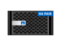 FAS8040 HA Pair