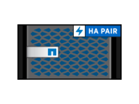 Flash Ray HA Pair All Flash