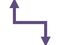 Purple Multi Interconn 147