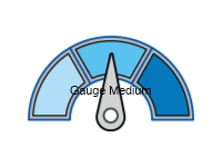 Gauge Medium