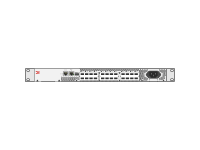 Brocade 300 
