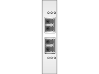 Dual 8Gb Fibre vertical