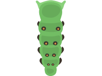 Caterpillar