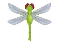 Dragonfly