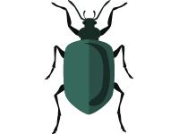 Green Beetle