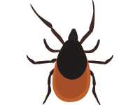 Tick