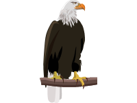 Eagle