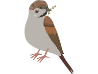 Sparrow