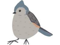 Tufted Titmouse