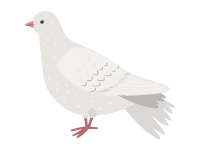 White Dove