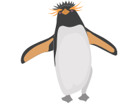 Crested Penguin