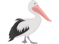 Pelican