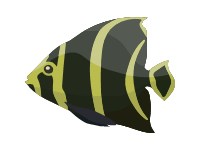 Banded Butterfly Fish