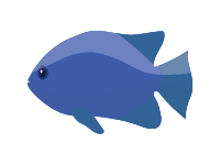 Chromis