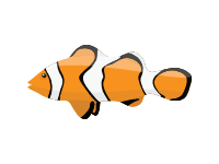 Clownfish