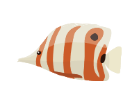 Copperband Butterflyfish