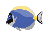 Damselfish