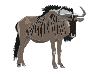 Brindled Gnu