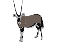 Oryx