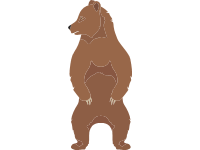 Ussuri Brown Bear