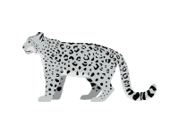 Snow Leopard