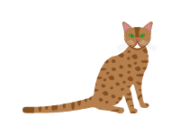 Savannah Cat