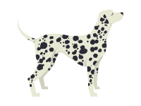 Dalmatian