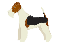 Fox Terrier