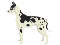 Great Dane