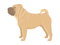 Shar Pei