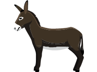 Balearic Donkey