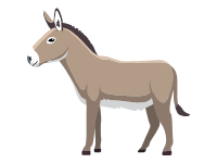 Cotentin Donkey