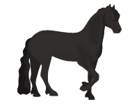 Friesian Horse