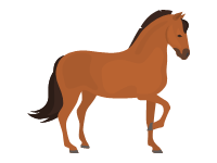 Paso Fino