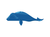 Bowhead Whale