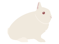 Polish Rabbit