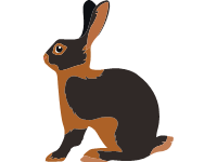 Tan rabbit
