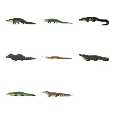 Crocodiles Preview Small