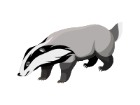 Badger