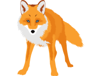 Fox