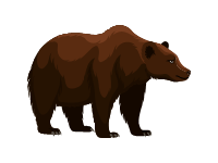 Grizzly Bear