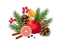 Christmas Decoration Citrus