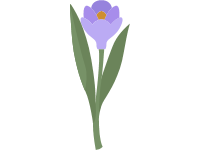 Crocus