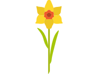 Daffodil